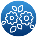 icon1-b