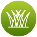icon6